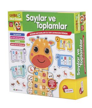LC SAYILAR VE TOPLAMLAR